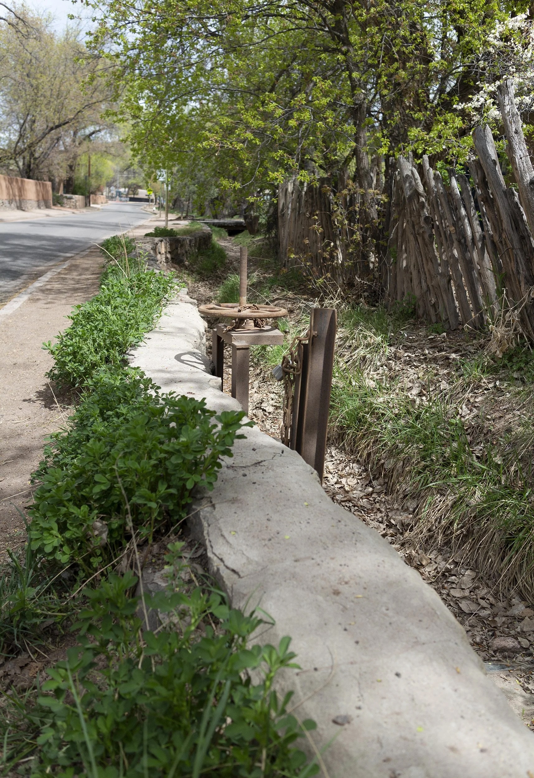 Acequia Madre